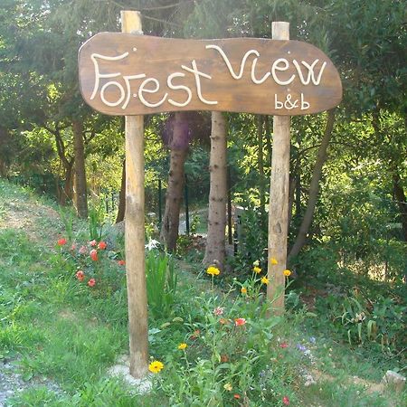 Forest View B&B Gavi Exteriör bild