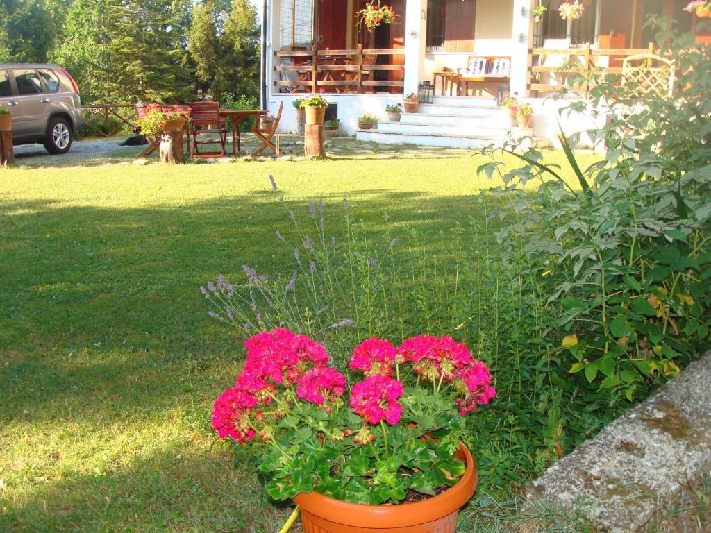 Forest View B&B Gavi Exteriör bild