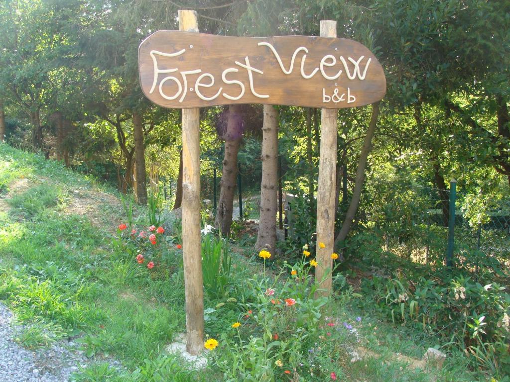 Forest View B&B Gavi Exteriör bild